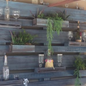 Back bar shelf