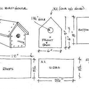 Bird Houses & Bird Feeders