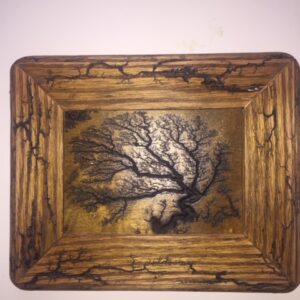 Lichtenberg framed tree