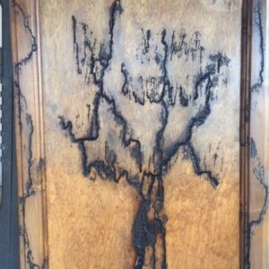 Fractal burned tree in frame